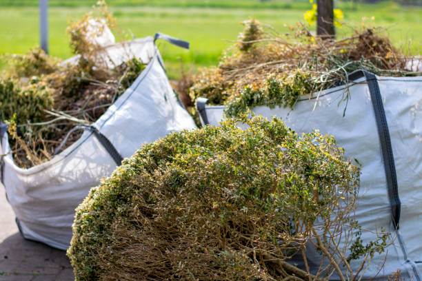 Best Dumpster Rental Services  in St Anthony, ID